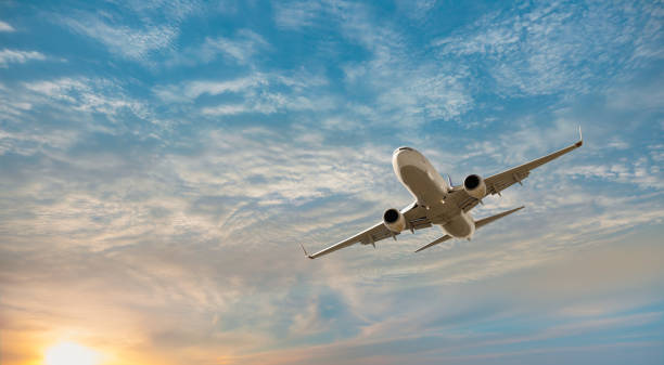 Traveling with advance parole